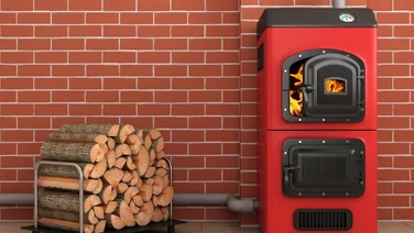 biomass boiler and wood