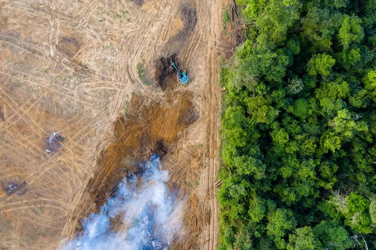 aerial view of desforestation