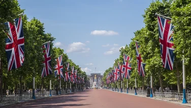 Royal family carbon footprint
