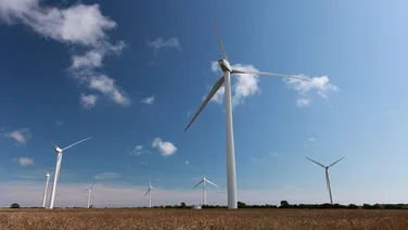 wind turbines in field with clear blue sky in background