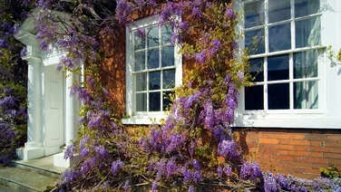 Sash windows on a traditional home